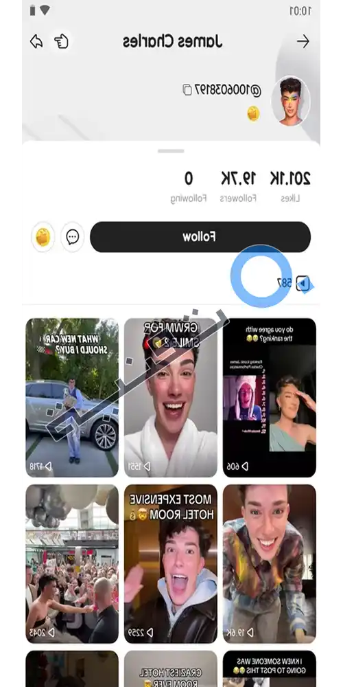 صفحة الملف الشخصي (Profile) لصانع محتوى على تطبيق Likee تعرض عدد المتابعين والفيديوهات المنشورة.