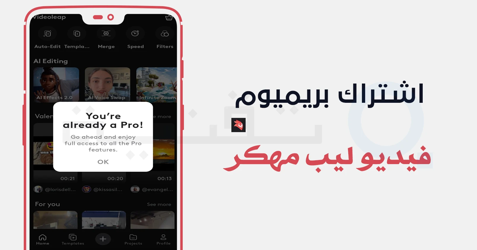 تنزيل Videoleap مهكر (بريميوم، بدون علامة مائية) الإصدار 1.39.1 مجانًا للاندرويد